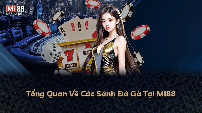 Tổng Quan Về Các Sảnh Đá Gà Tại MI88